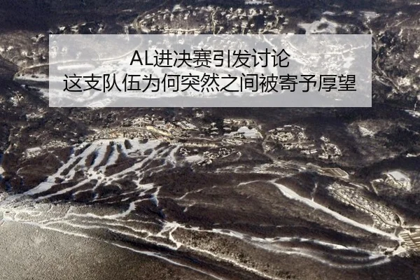 AL进决赛引发讨论 这支队伍为何突然之间被寄予厚望